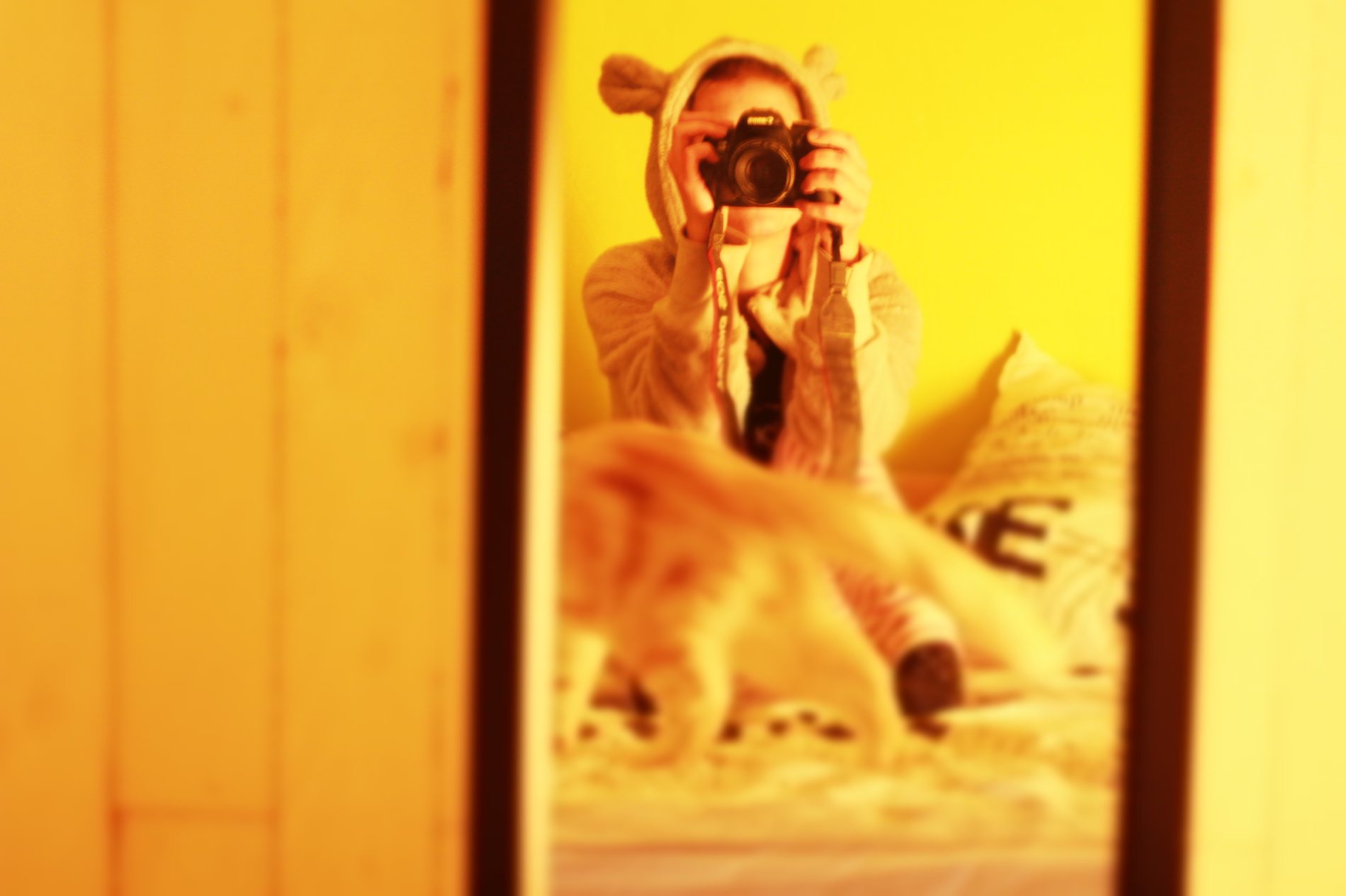 Cover for Yellow Room