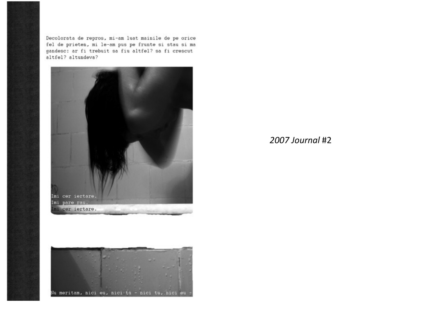 2007 Journal #2