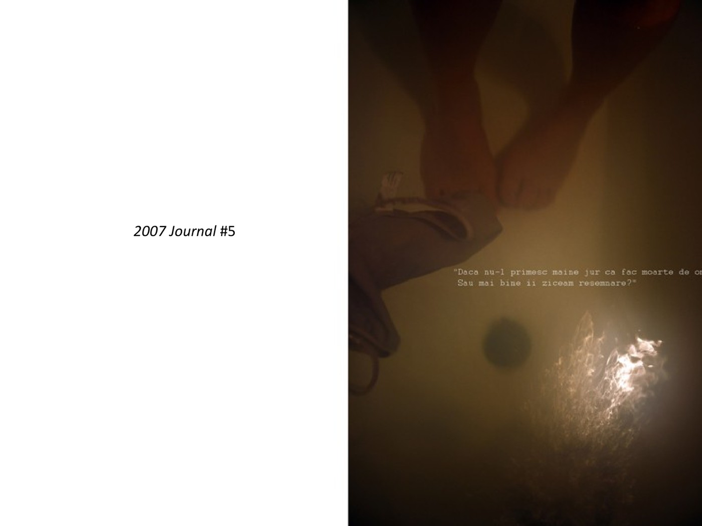 2007 Journal #5