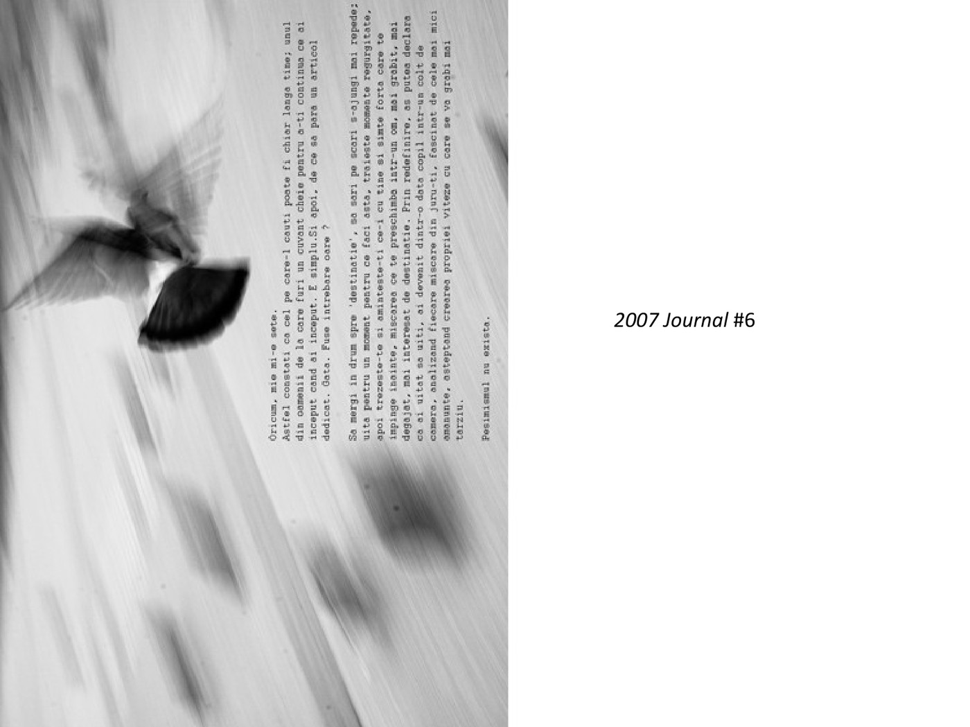 2007 Journal #6