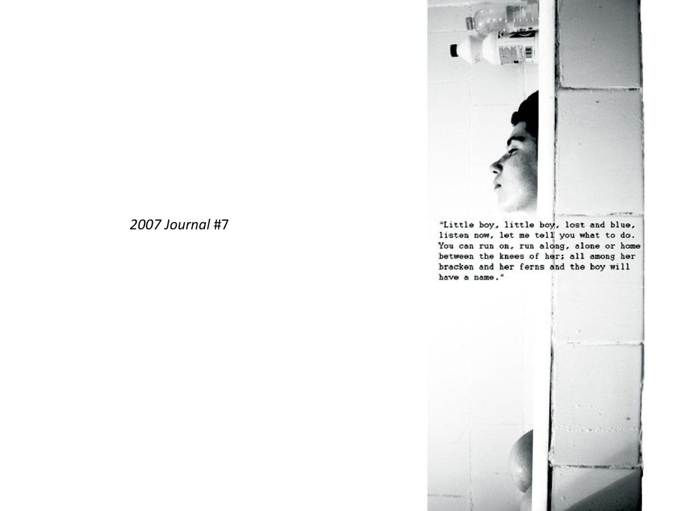 2007 Journal #7