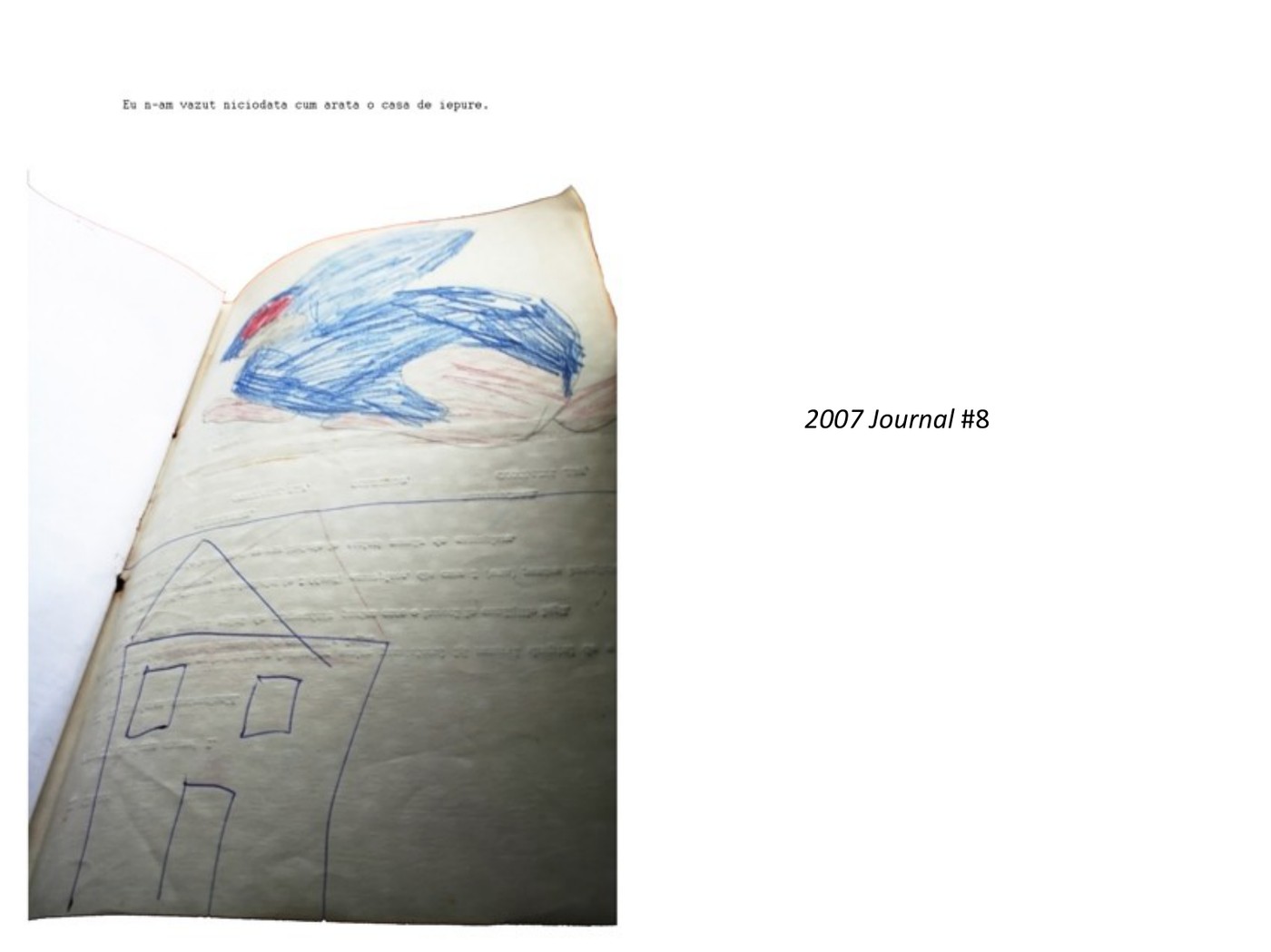 2007 Journal #8