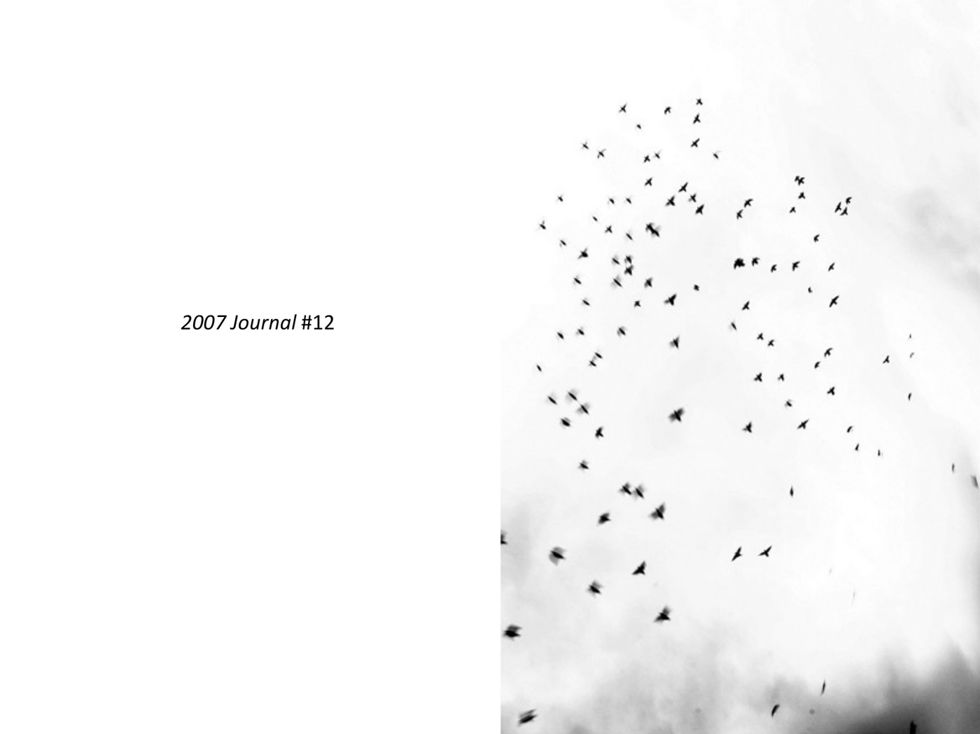 2007 Journal #12