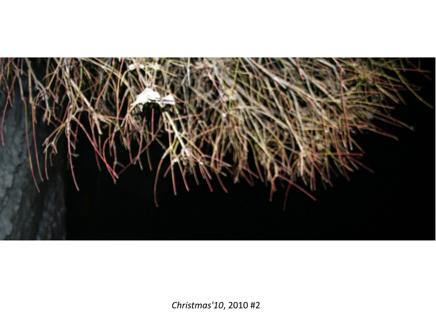 Christmas'10, 2010 #2