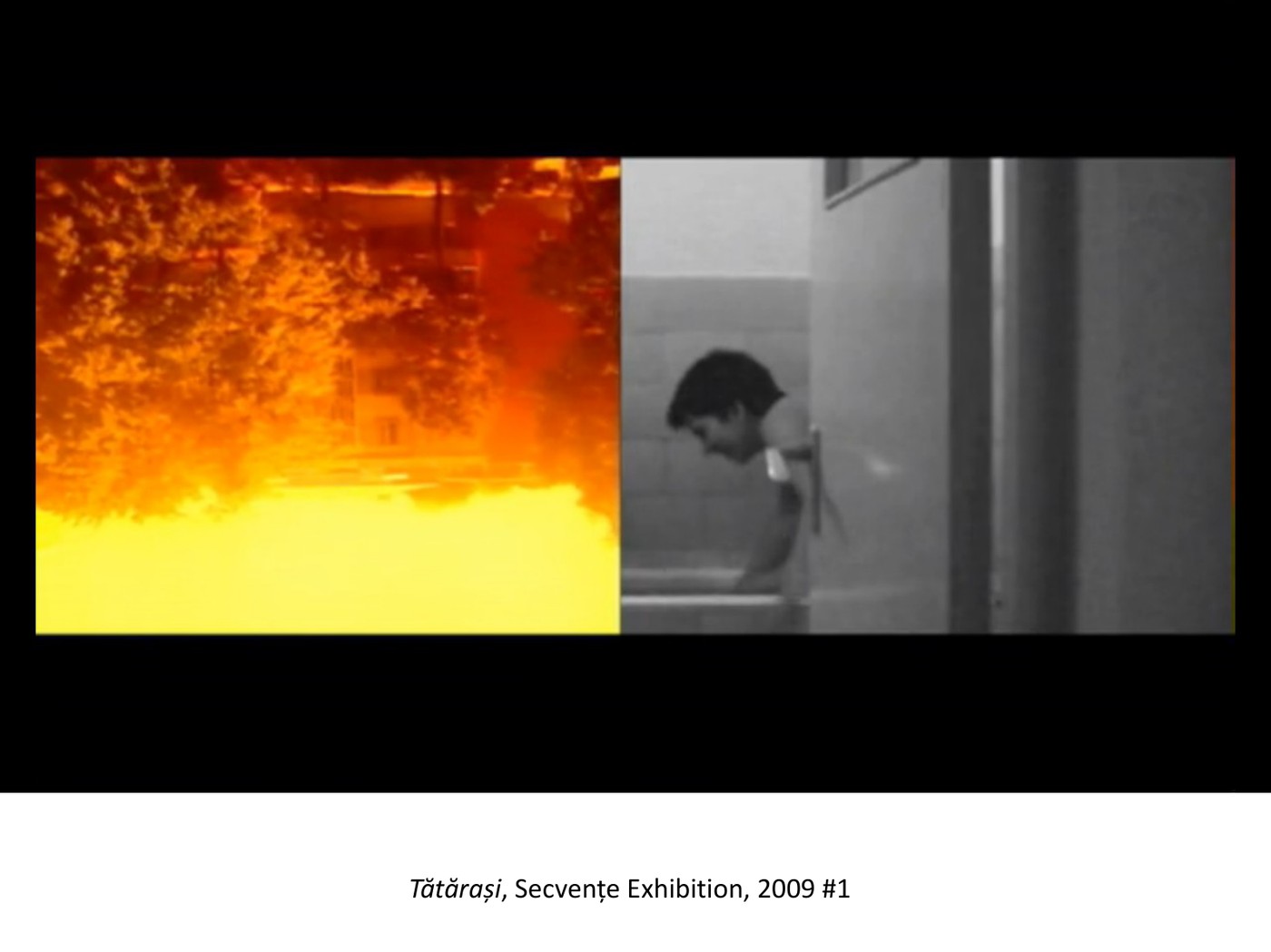 Tătărași, Secvențe Exhibition, 2009 #1