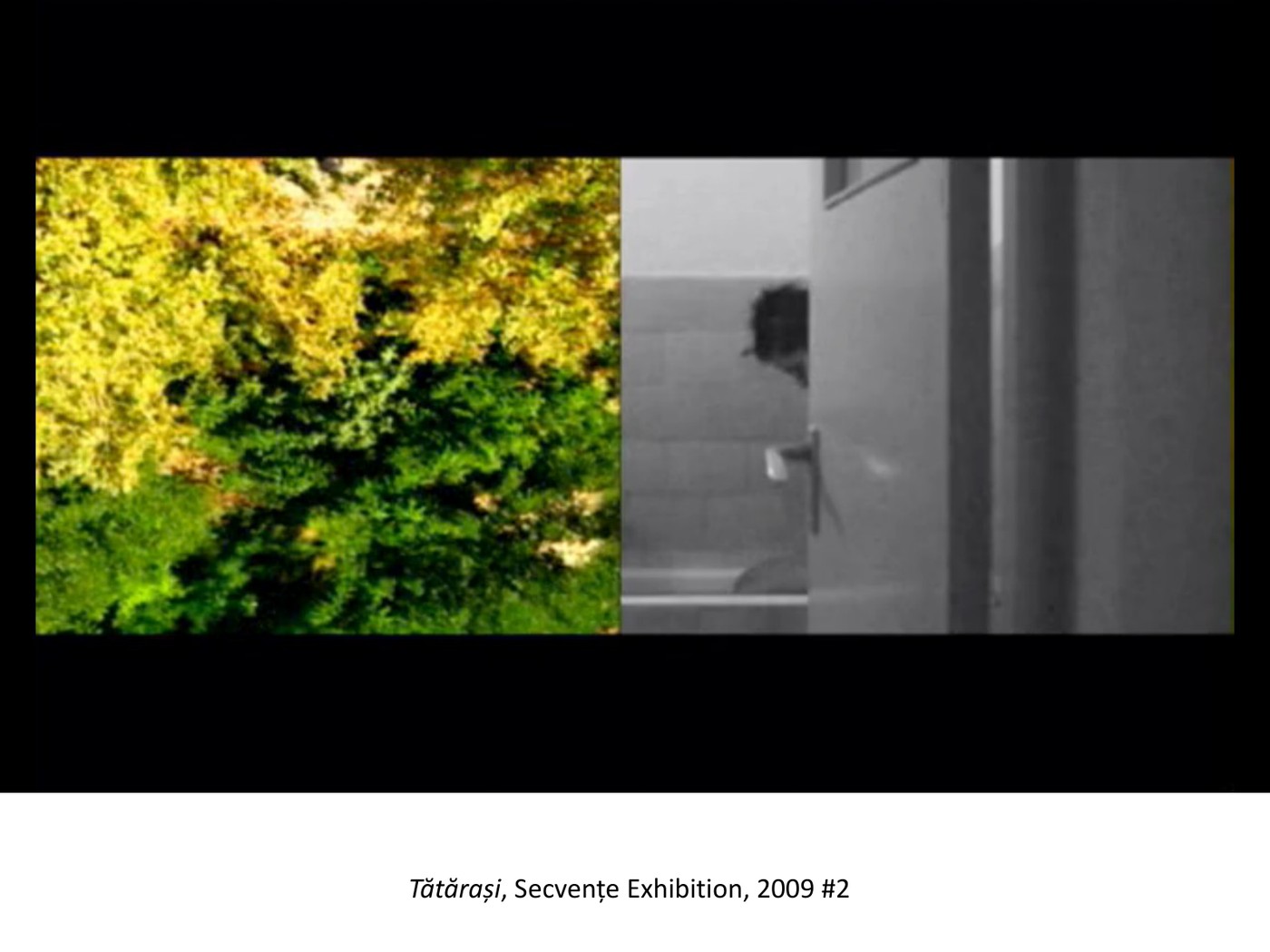 Tătărași, Secvențe Exhibition, 2009 #2